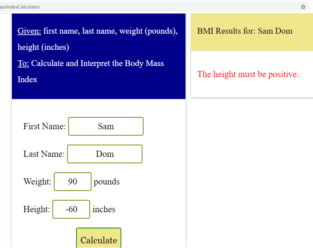 Output: BMI App 4