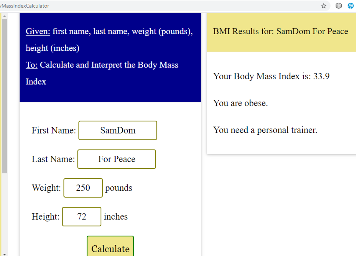 Output: BMI App 9