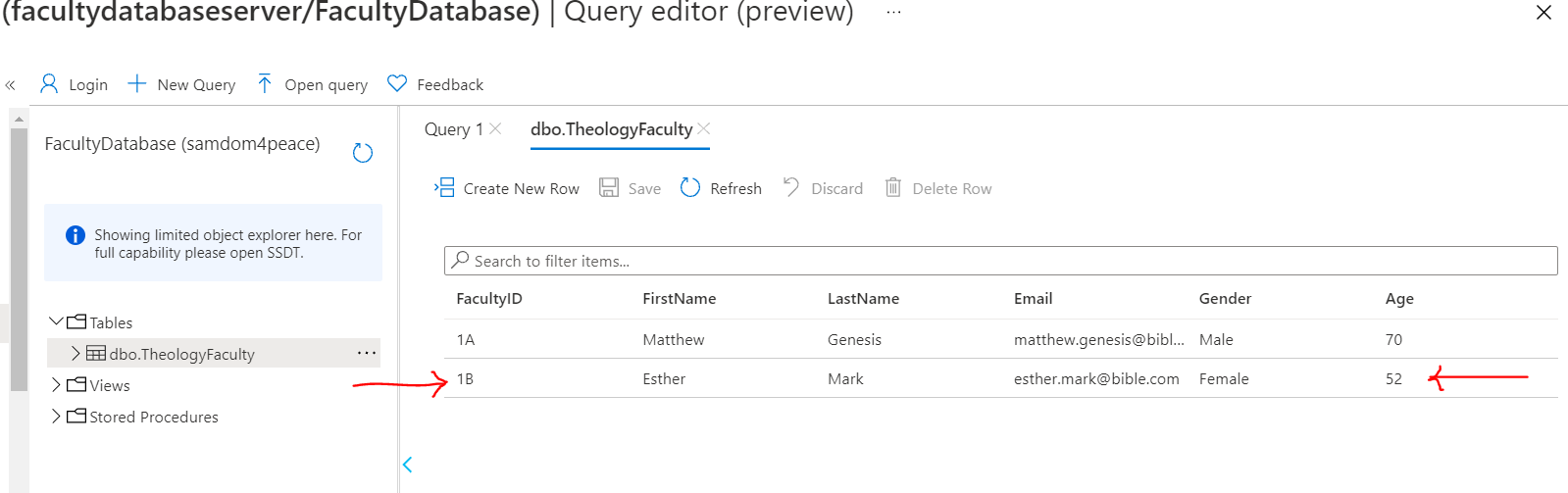 Preview Data: Azure SQL Database 4