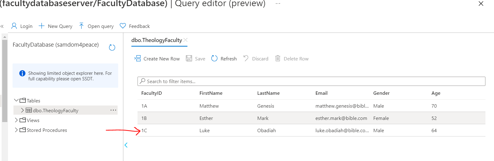 Preview Data: Azure SQL Database 5