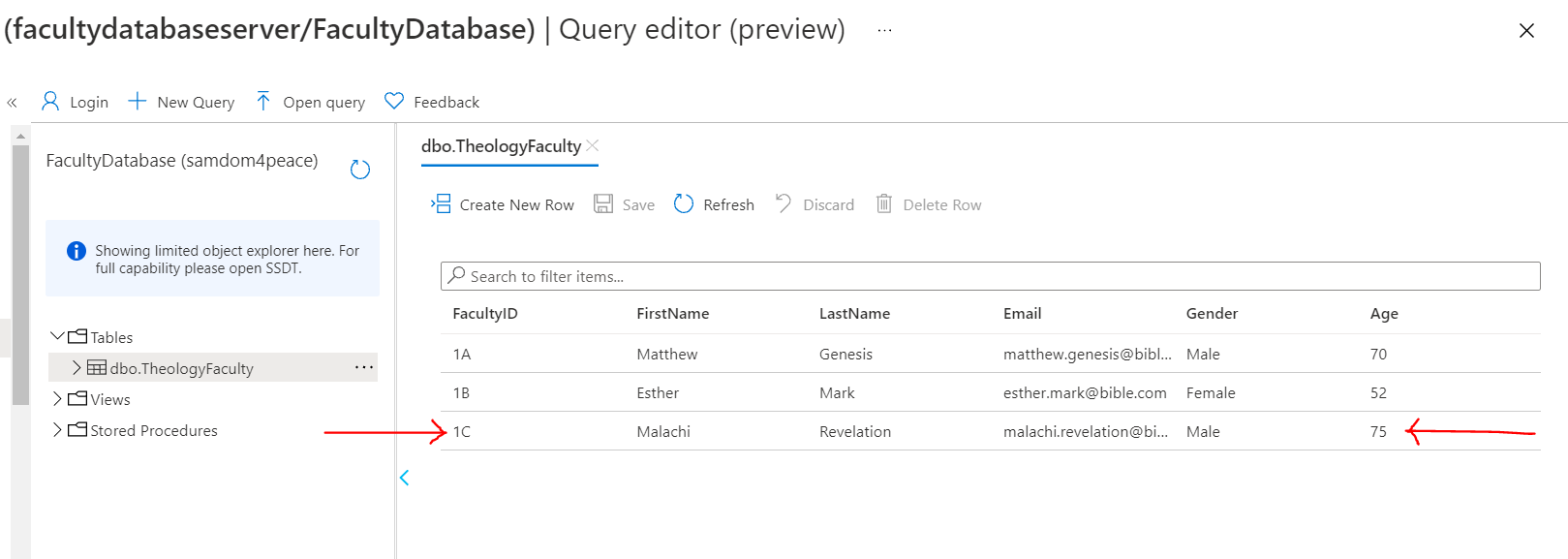 Preview Data: Azure SQL Database: Update Operation